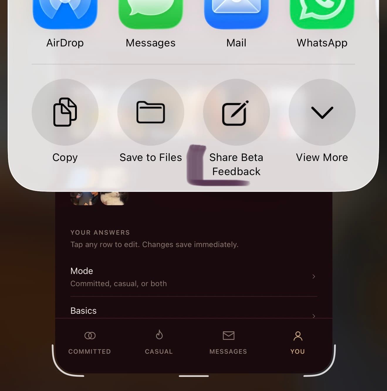 iOS share sheet with Share Beta Feedback highlighted
